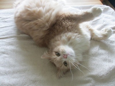 visserstruimetsuperlana17