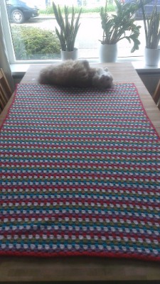 scheepjespittsburgh3